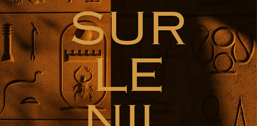 Couverture de Mort sur le Nil de Agatha Christie représentant un mur de hiéroglyphes dans des tons bruns, le titre de l'oeuvre est en jaune au centre, le nom de Agatha Christie en haut au centre en blanc et le nom de la maison d'édition imaginaire en bas au centre en blanc