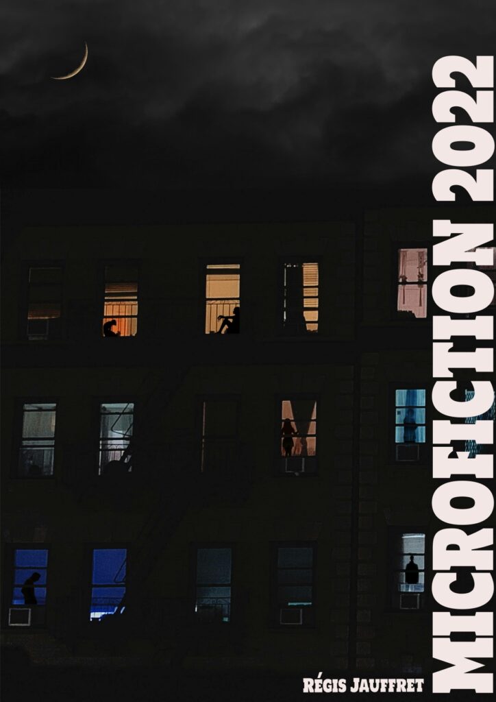 Microfiction 2022, Régis Jauffret